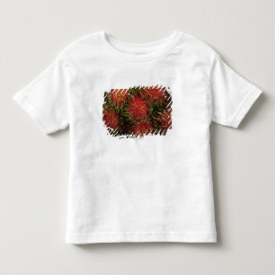 Camiseta De Bebé Rambutan