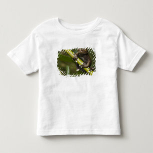 Camiseta De Bebé Rana arborícola cautiva de Tapichalaca Hyloscirtus