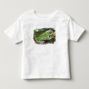 Camiseta De Bebé Rana arborícola de ojos grandes, Leptopelis vermic