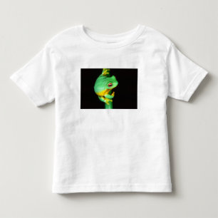 Camiseta De Bebé Rana arborícola de ojos rojos australiana, Litoria