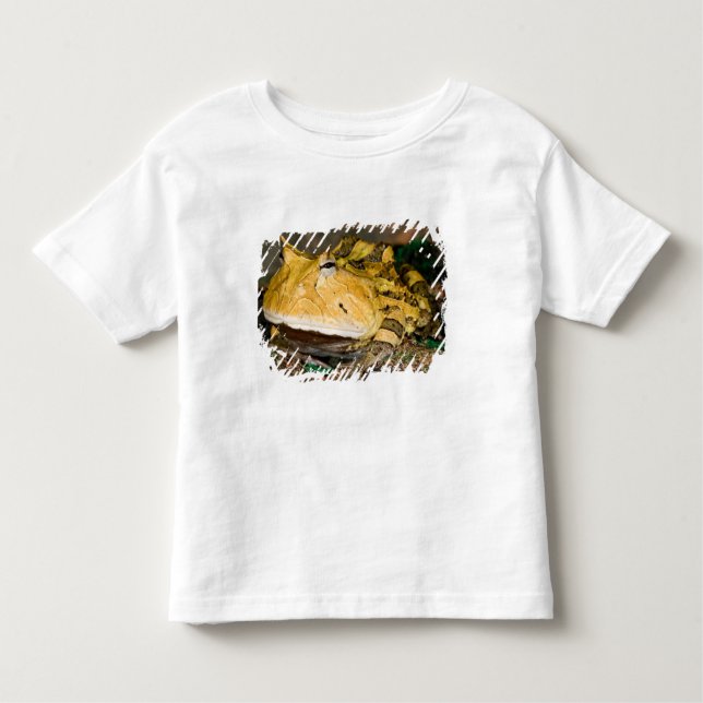 Camiseta De Bebé Rana brasilera del cuerno, Ceratophrys cornuta, 3 (Anverso)