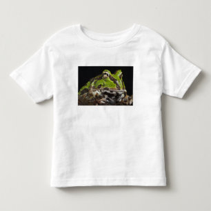 Camiseta De Bebé Rana Cornuda del Pacífico Ceratophrys stolzmanni)
