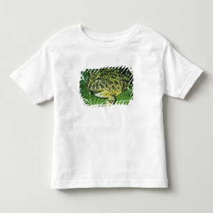 Camiseta De Bebé Rana Cornuda Ornamentada, (Ceratophrys ornata),