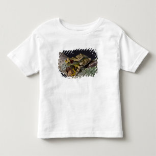 Camiseta De Bebé Rana de árbol de ojos rojos africanos, Leptopelis