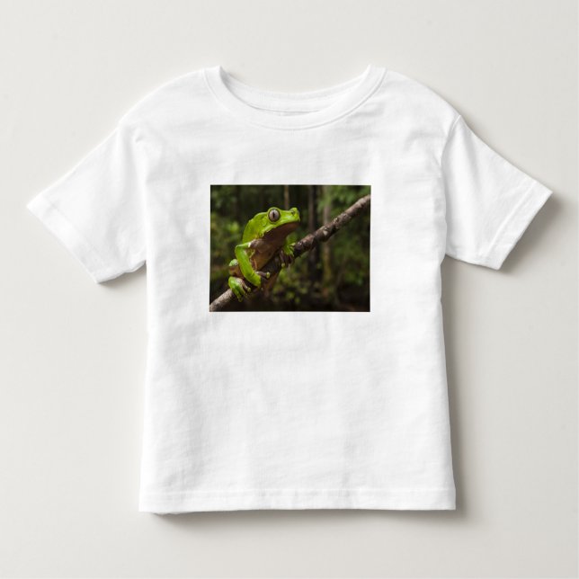 Camiseta De Bebé Rana de hoja gigante Phyllomedusa bicolor) (Anverso)