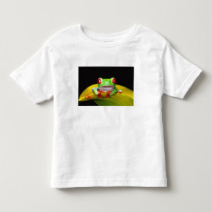 Camiseta De Bebé Rana De Ojos Rojos, Agalychinis callidryas, Nativa