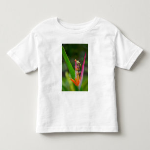 Camiseta De Bebé rana de ojos rojos, Costa Rica