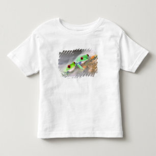 Camiseta De Bebé Rana de ojos rojos en la niebla, Agalychinis 2