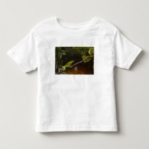 Camiseta De Bebé Rana hoja gigante Phyllomedusa bicolor) 2