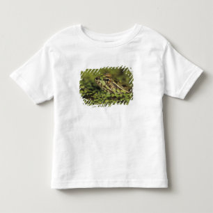 Camiseta De Bebé Rana leopardo del Río Grande, Rana berlandieri,