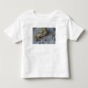 Camiseta De Bebé rana leopardo norteña, Isla transparente,