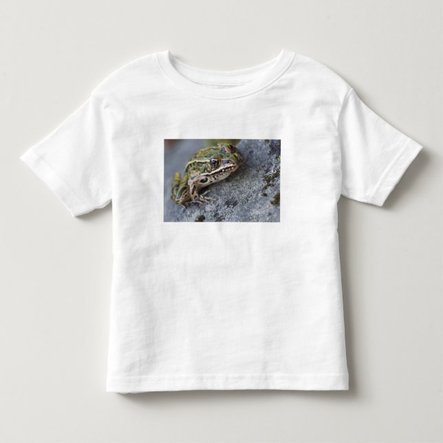 Camiseta De Bebé rana leopardo norteña, Isla transparente, (Anverso)