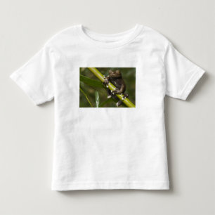 Camiseta De Bebé Rana Tapichalaca cautiva Hyloscirtus 2