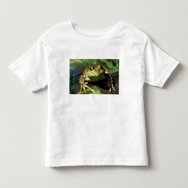 Camiseta De Bebé Rana toro. (Anverso)
