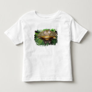 Camiseta De Bebé Rana toro africana, Pyxicephalus 2