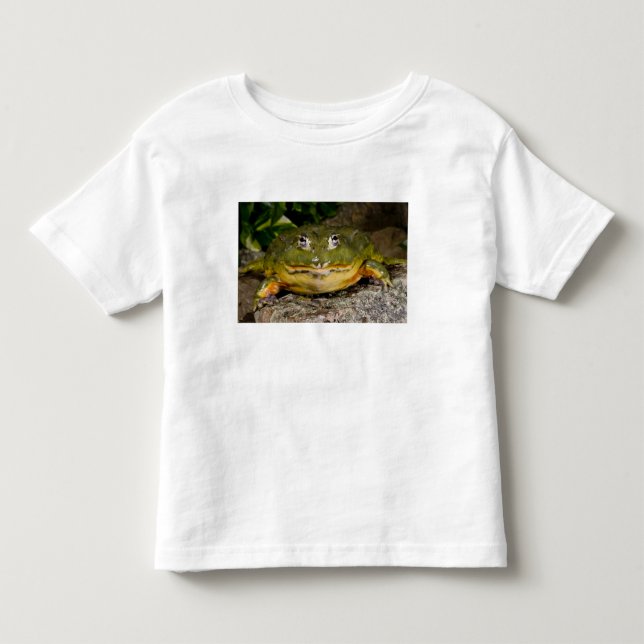 Camiseta De Bebé Rana toro excavadora africana, Pyxicephalus (Anverso)