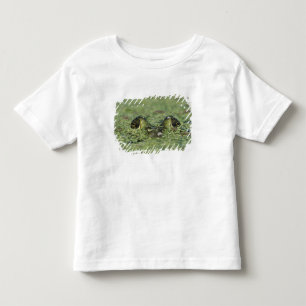 Camiseta De Bebé Rana toro, Rana catesbeiana, adulta en lenteja de