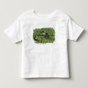 Camiseta De Bebé Rana toro, Rana catesbeiana, adulta en lenteja de 
