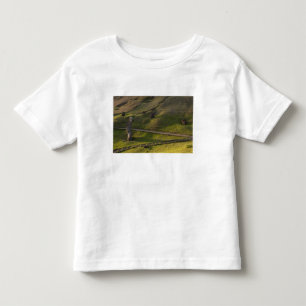 Camiseta De Bebé Rano Raraku, Rapa Nui, Isla de Pascua, Chile