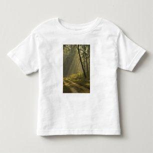 Camiseta De Bebé Rayos de luz matutina a través de árboles en selva