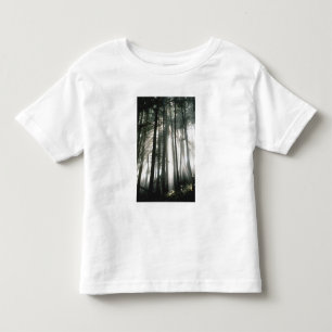 Camiseta De Bebé Rayos de sol que atraviesan los árboles, Monte Rai
