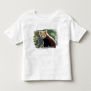 Camiseta De Bebé Red Panda Ailurus fulgens)