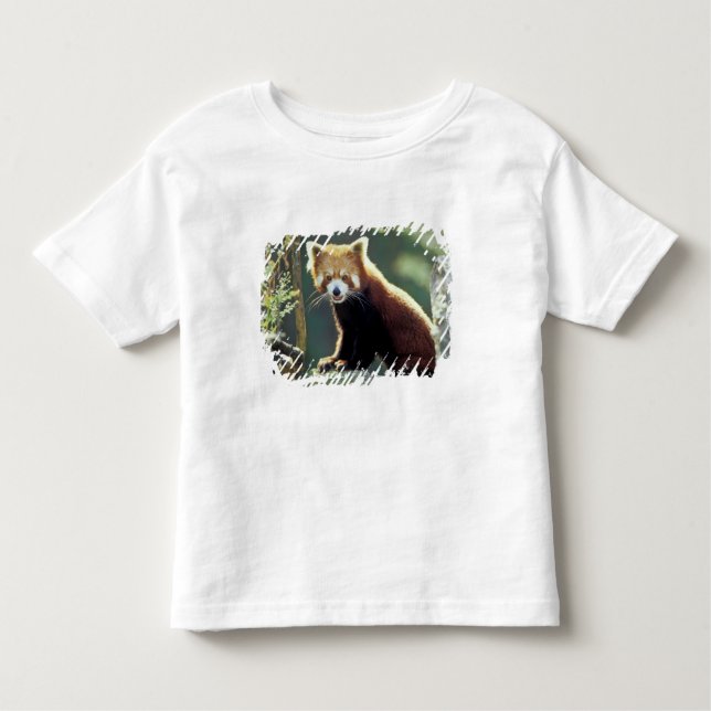Camiseta De Bebé Red Panda Ailurus fulgens) (Anverso)