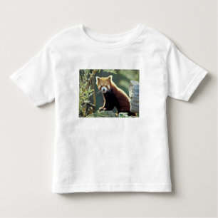 Camiseta De Bebé Red Panda Ailurus fulgens)