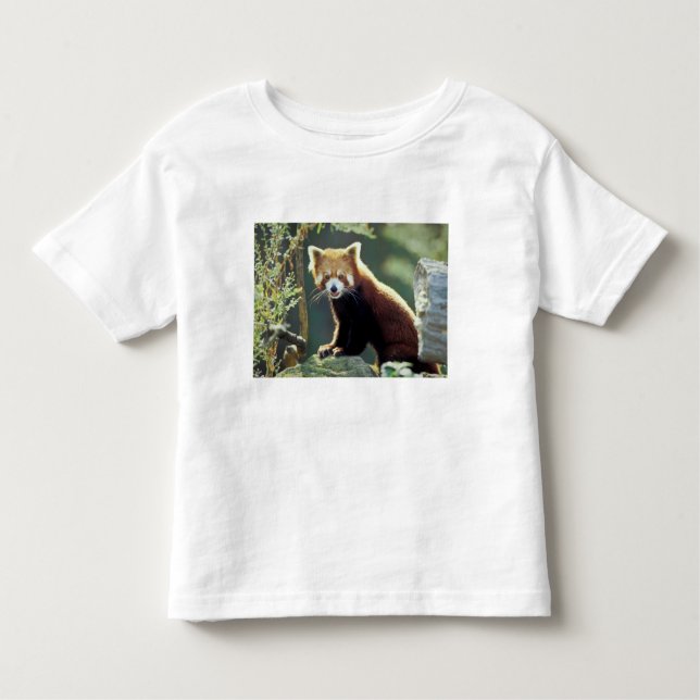 Camiseta De Bebé Red Panda Ailurus fulgens) (Anverso)