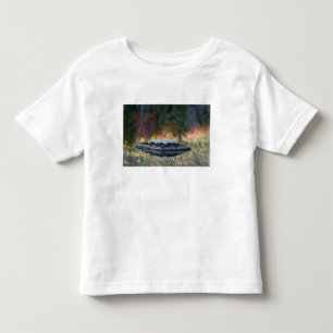 Camiseta De Bebé Reflejo de roca y árbol, estanque de lirios, Blanc