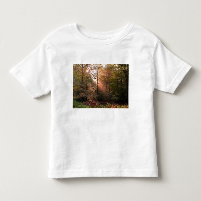 Camiseta De Bebé Reino Unido. Bosque de Dean. Rayo de sol que penet (Anverso)