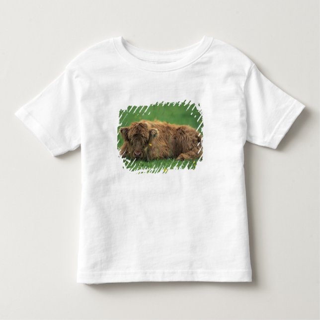 Camiseta De Bebé Reino Unido, Escocia. Carne de montaña (Anverso)