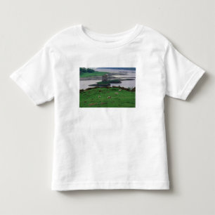 Camiseta De Bebé Reino Unido, Escocia, Isla de Skye, antiguo