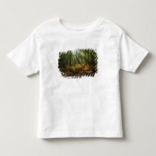 Camiseta De Bebé Reino Unido, Inglaterra. Rayos de sol que se filtr