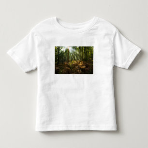 Camiseta De Bebé Reino Unido, Inglaterra. Rayos de sol que se filtr