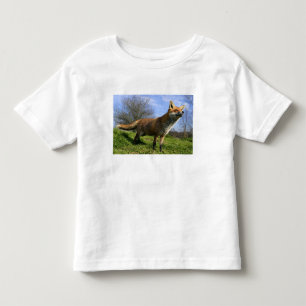 Camiseta De Bebé Reino Unido, Inglaterra. Zorro Rojo Vulpes vulpes)
