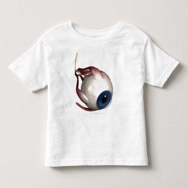 Camiseta De Bebé Representación realista de los músculos del ojo (Anverso)