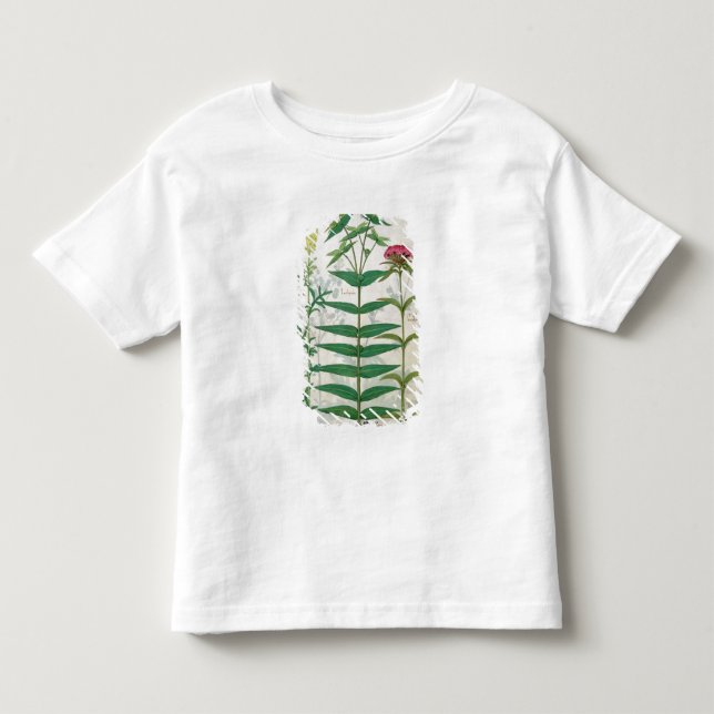 Camiseta De Bebé Reseda, euforbio y clavel (Anverso)