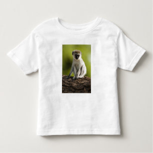 Camiseta De Bebé Reserva de Caza Samburu, Kenya, Mono Vervet,