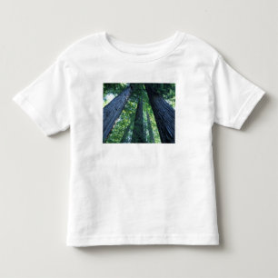 Camiseta De Bebé Reserva Estatal de Montgomery Woods, California.