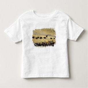 Camiseta De Bebé Resumen nacional de la cordillera de Bison en Mont