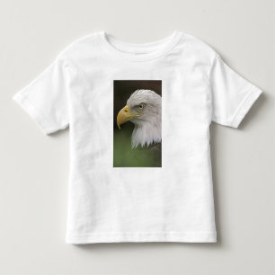 Camiseta De Bebé Retrato de águila calva adulta, Haliaeetus