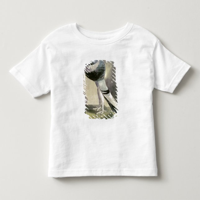 Camiseta De Bebé Retrato de la paloma del Pouter (Anverso)