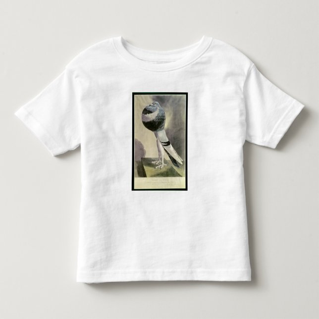 Camiseta De Bebé Retrato de la paloma del Pouter (Anverso)