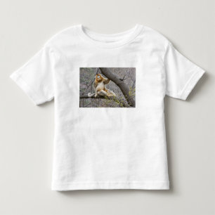 Camiseta De Bebé Retrato de mono dorado macho en el árbol