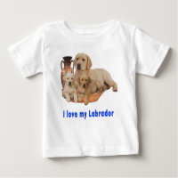 Retriever de Labrador