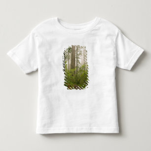 Camiseta De Bebé Rhododendron floreciendo entre las secuoyas coster