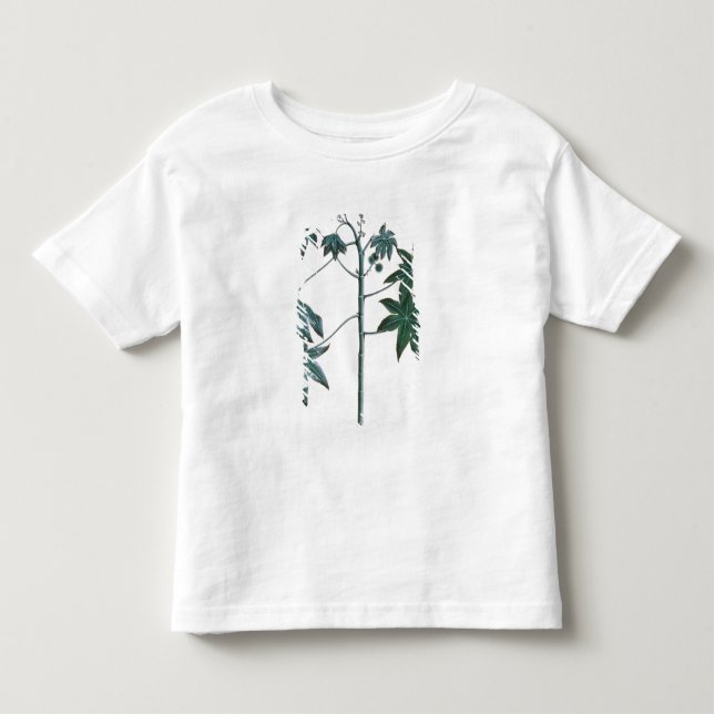 Camiseta De Bebé Ricino, c.1801-4 (Anverso)