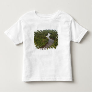 Camiseta De Bebé Río Essequibo, el río más largo de Guyana, y 5