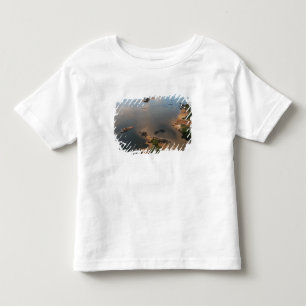 Camiseta De Bebé Río Essequibo, río más largo de Guyana, y 2